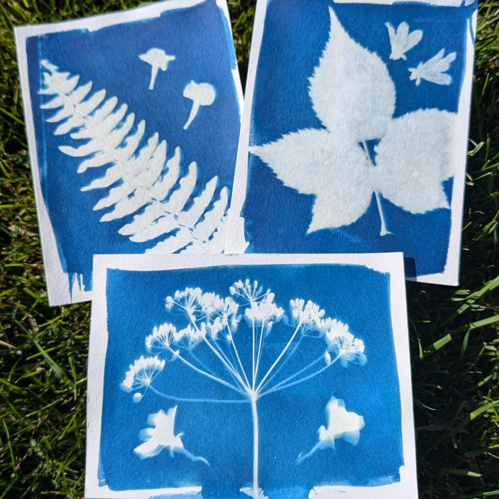 Cyanotype Printing